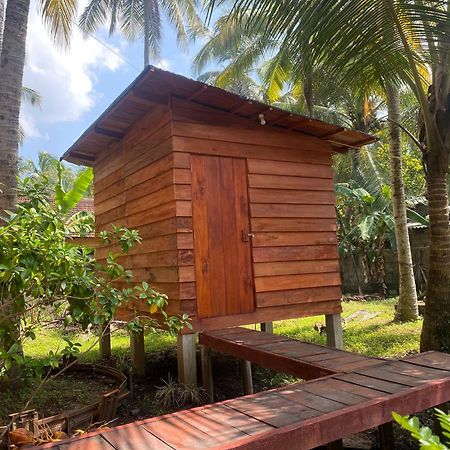 Coco Cabins By Thush Bentota Dış mekan fotoğraf
