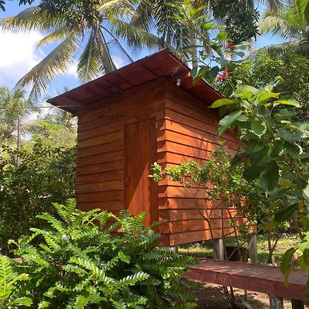 Coco Cabins By Thush Bentota Dış mekan fotoğraf