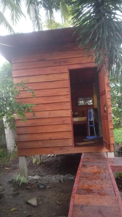 Coco Cabins By Thush Bentota Dış mekan fotoğraf