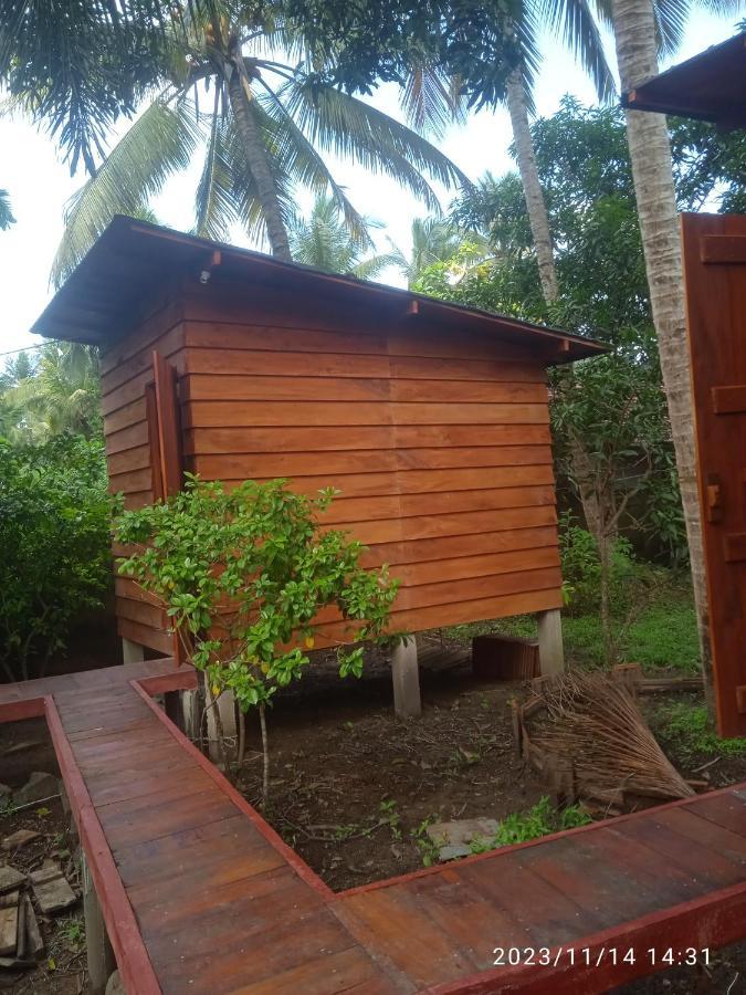 Coco Cabins By Thush Bentota Dış mekan fotoğraf