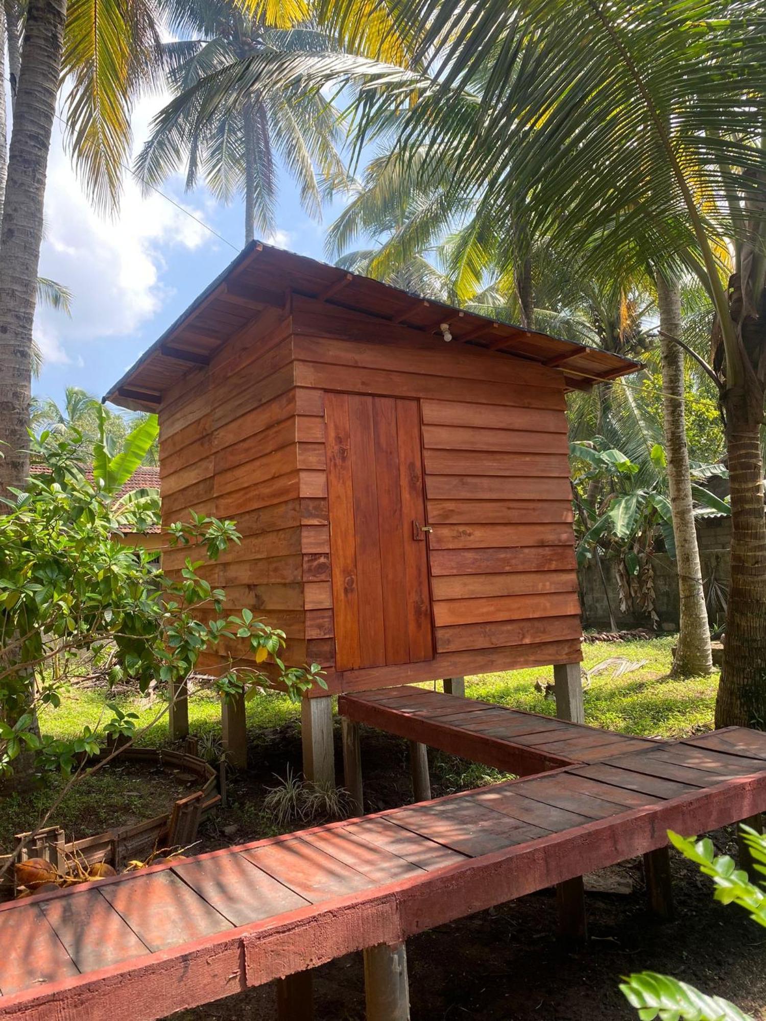 Coco Cabins By Thush Bentota Dış mekan fotoğraf