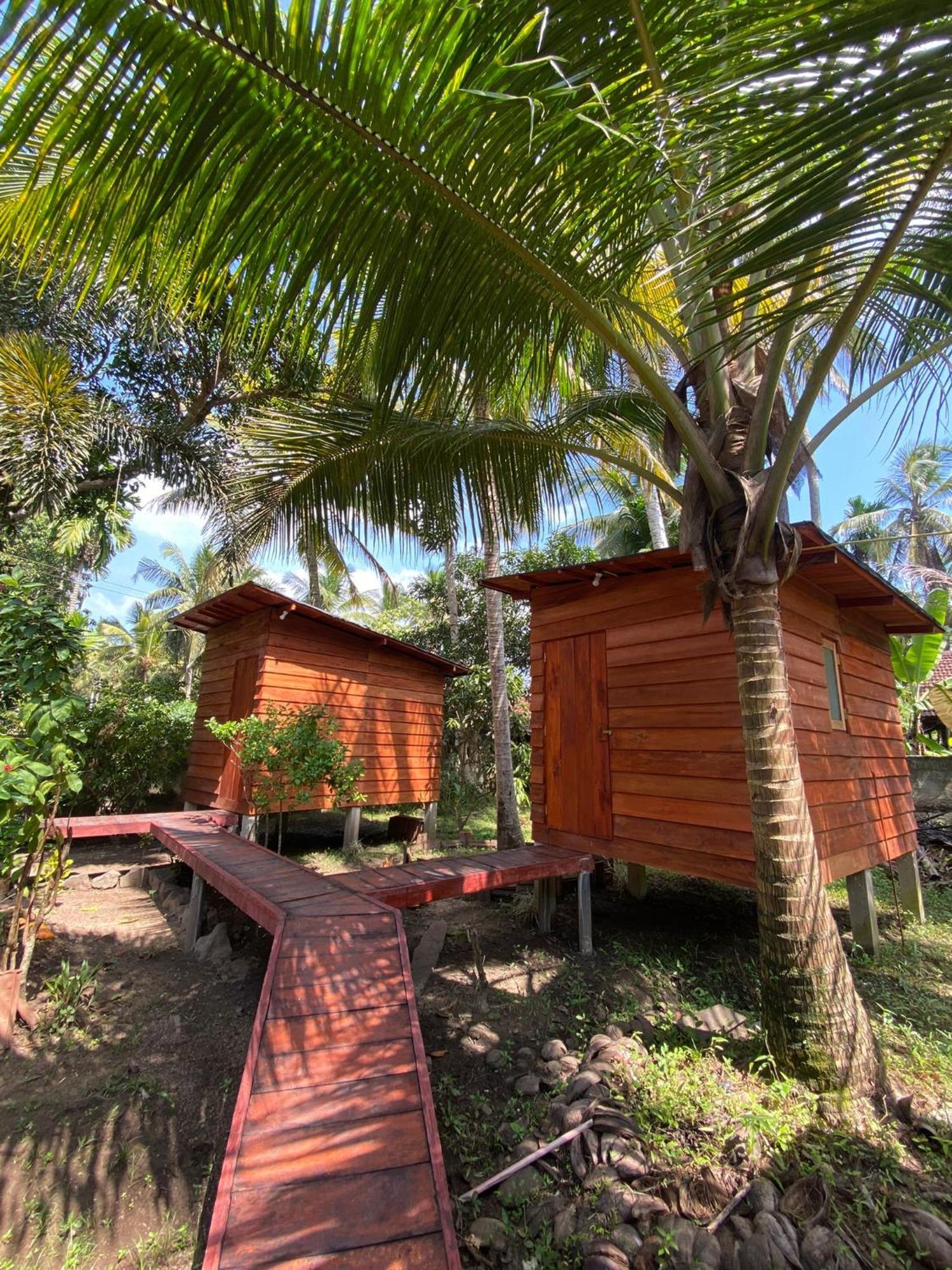 Coco Cabins By Thush Bentota Dış mekan fotoğraf